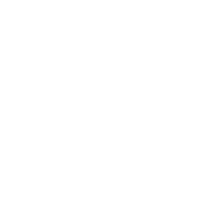 Qu'est-ce qu'une reprogrammation moteur ?